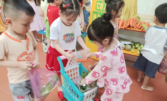 Chương trình đào tạo mầm non